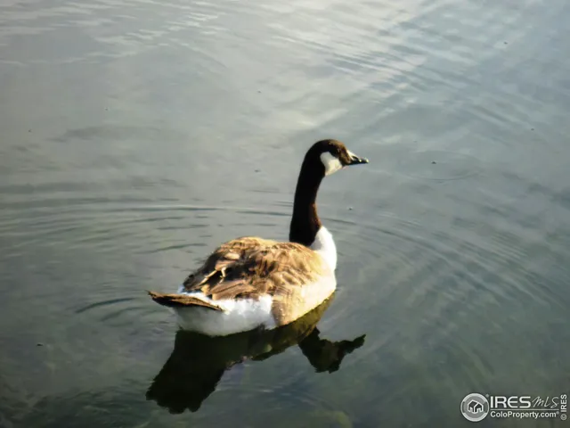 $545,000 | 1249 Oak Island Court, Fort Collins, CO 80525