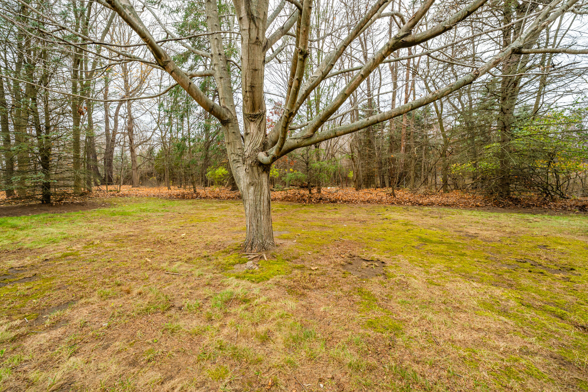 5300 Scottdale Road St. Joseph, MI 49085 - Photo 32 of 36 Scottdale-110