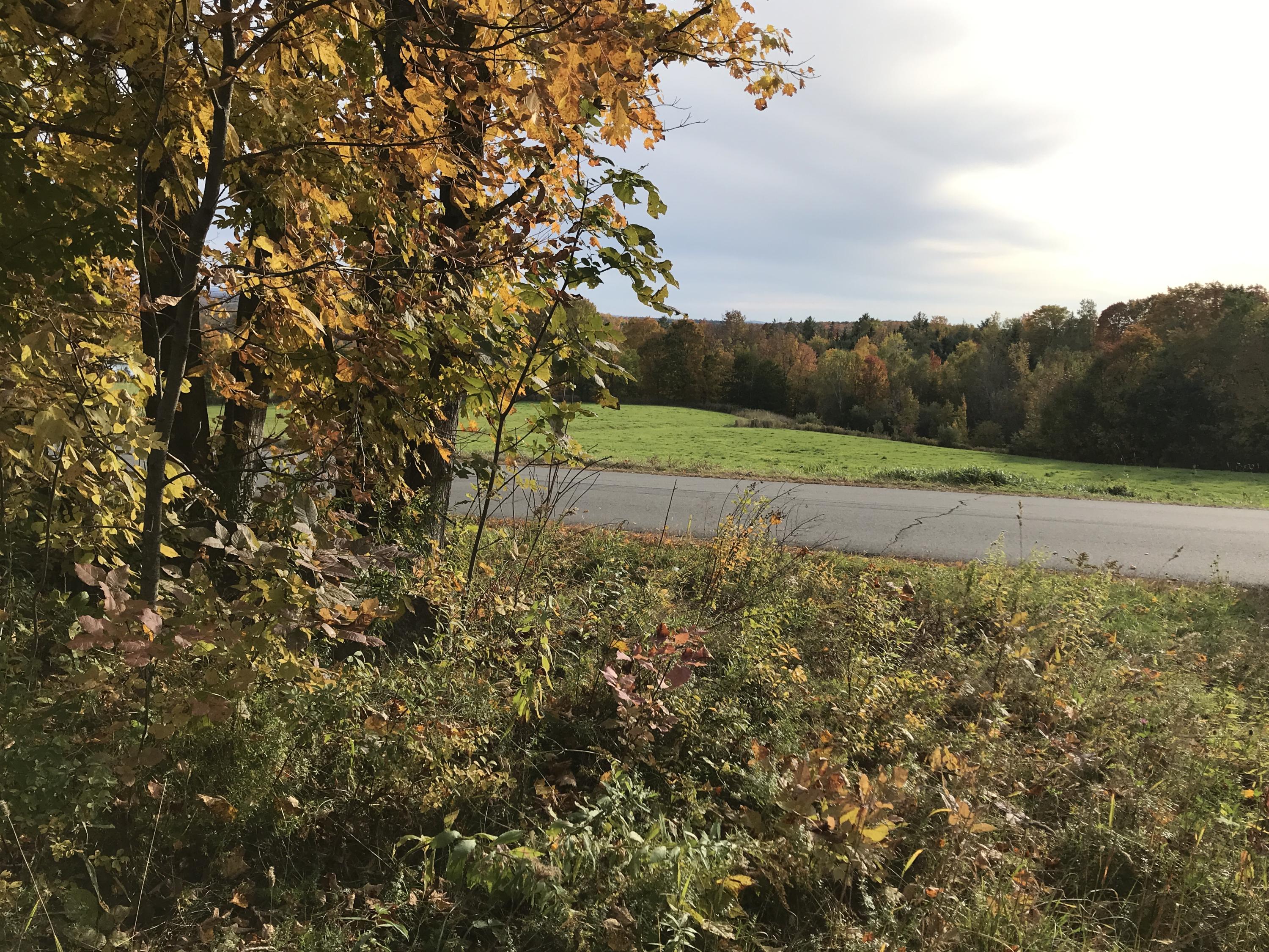 Lot 8 Oliver Hill Road Garland, ME 04939 - Photo 3 of 12 IMG_0032