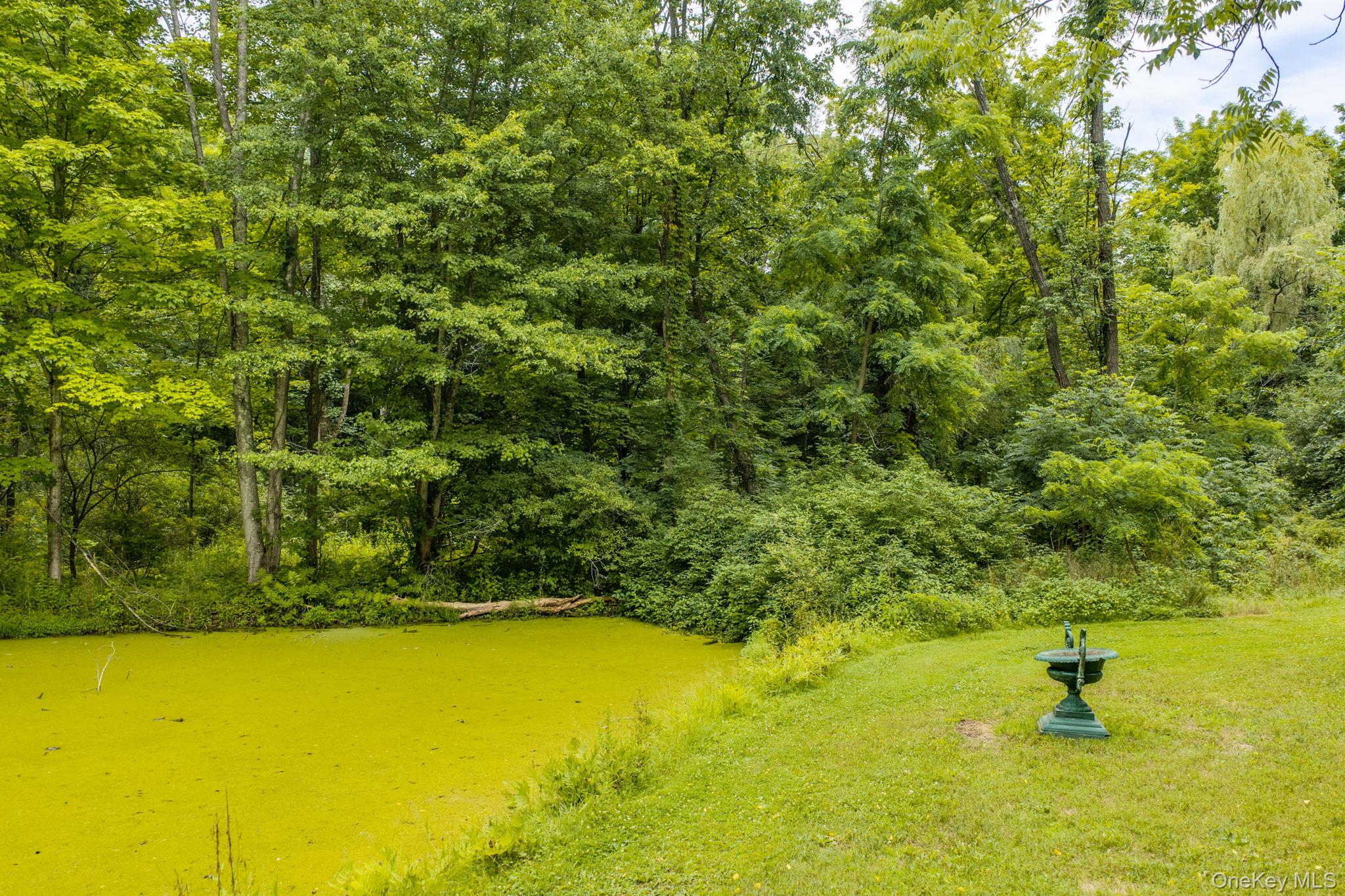 4 Plains Road Walden, NY 12586 - Photo 40 of 43