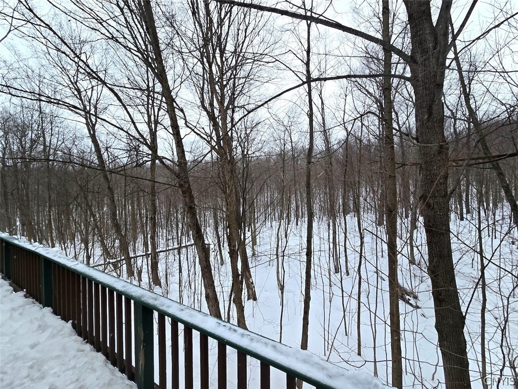 9731 State Rte 243 Rushford, NY 14060 - Photo 18 of 28