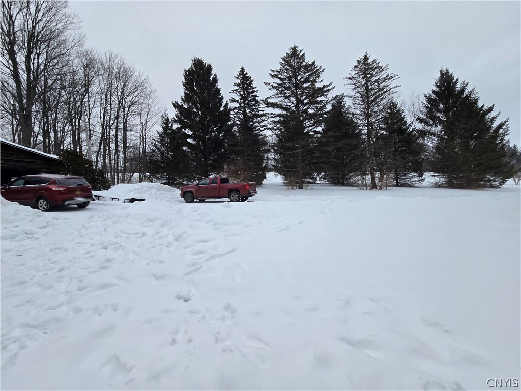 9731 State Rte 243 Rushford, NY 14060 - Photo 24 of 28