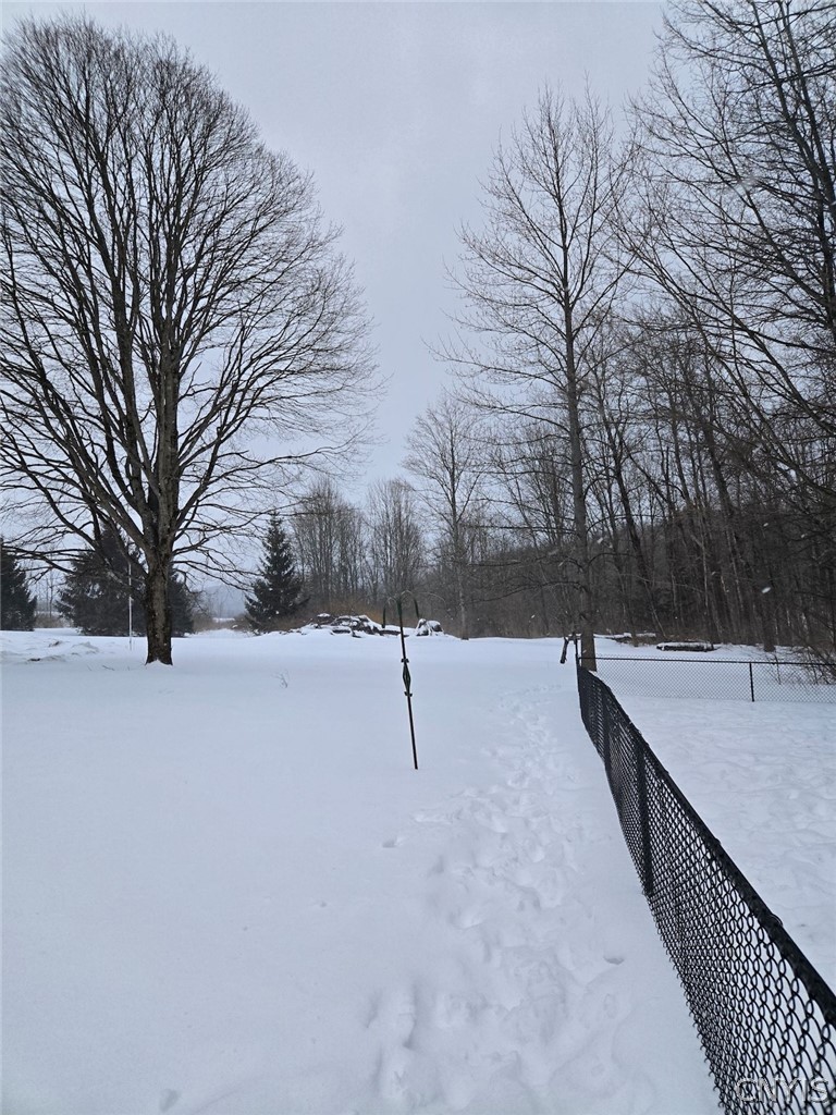 9731 State Rte 243 Rushford, NY 14060 - Photo 25 of 28