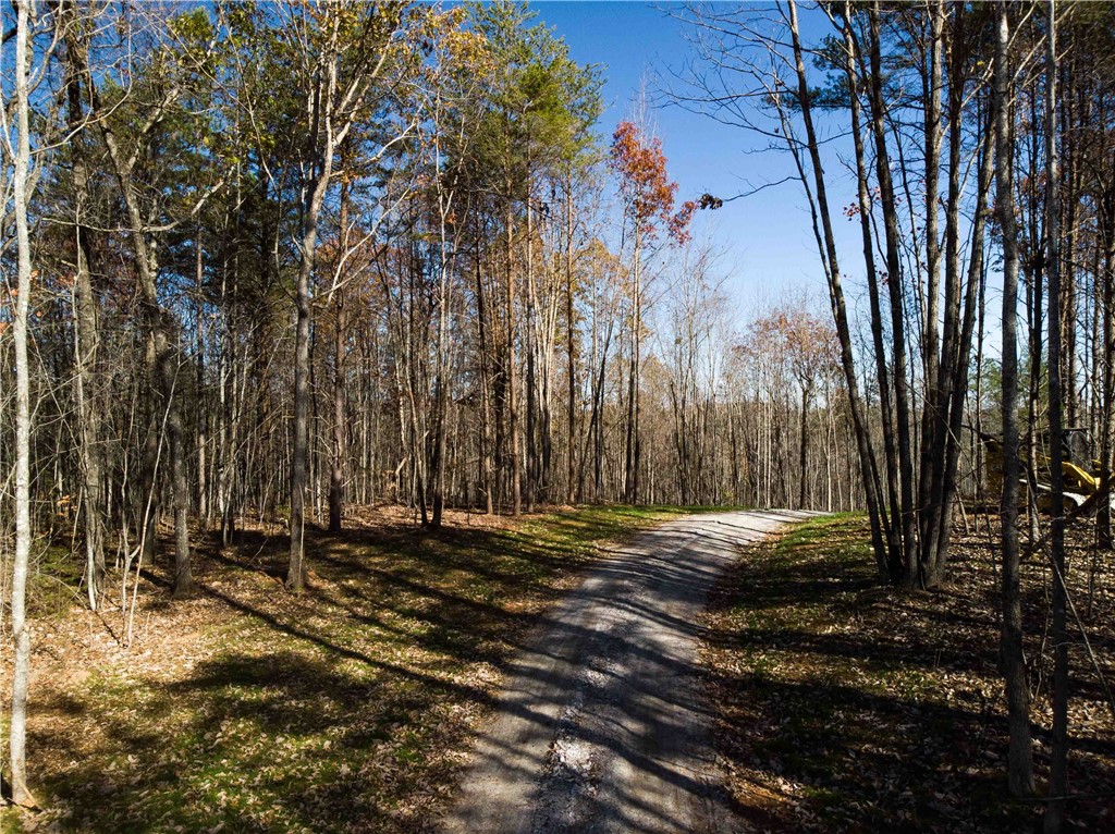 A Chalmers Mountain Road Walhalla, SC 29691 - Photo 1 of 35 Gallery Image 1