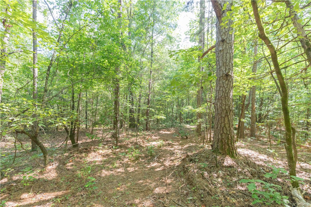 A Chalmers Mountain Road Walhalla, SC 29691 - Photo 2 of 35 Gallery Image 2