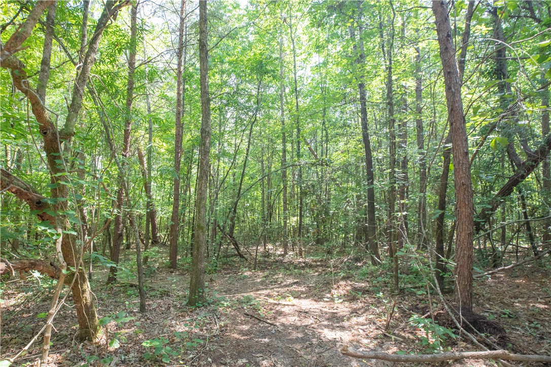 A Chalmers Mountain Road Walhalla, SC 29691 - Photo 3 of 35 Gallery Image 3