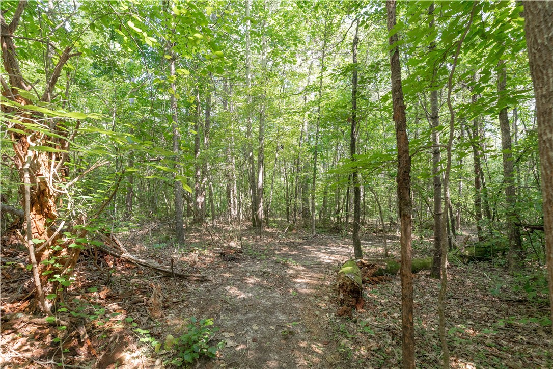 A Chalmers Mountain Road Walhalla, SC 29691 - Photo 4 of 35 Gallery Image 4