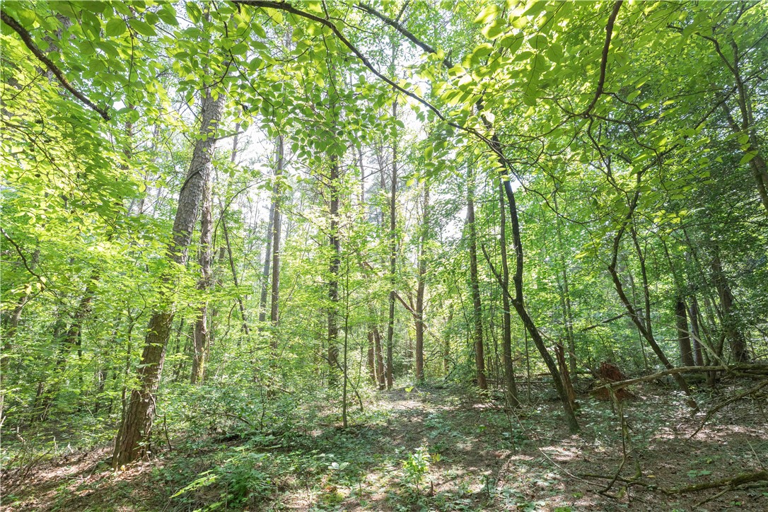 A Chalmers Mountain Road Walhalla, SC 29691 - Photo 5 of 35 Gallery Image 5
