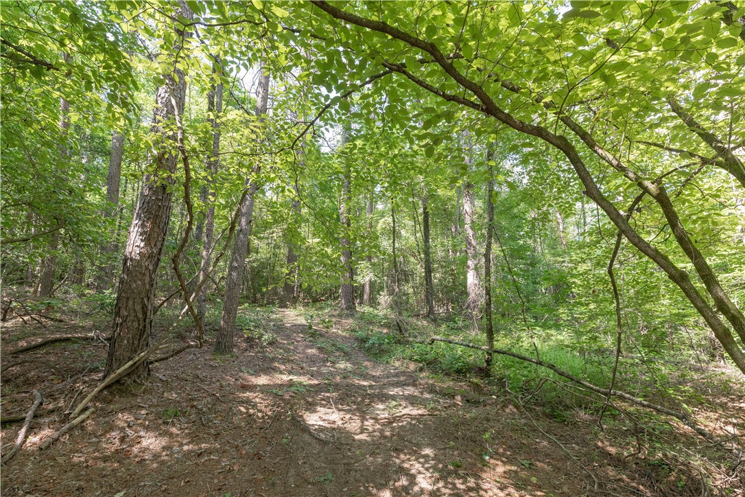 A Chalmers Mountain Road Walhalla, SC 29691 - Photo 6 of 35 Gallery Image 6