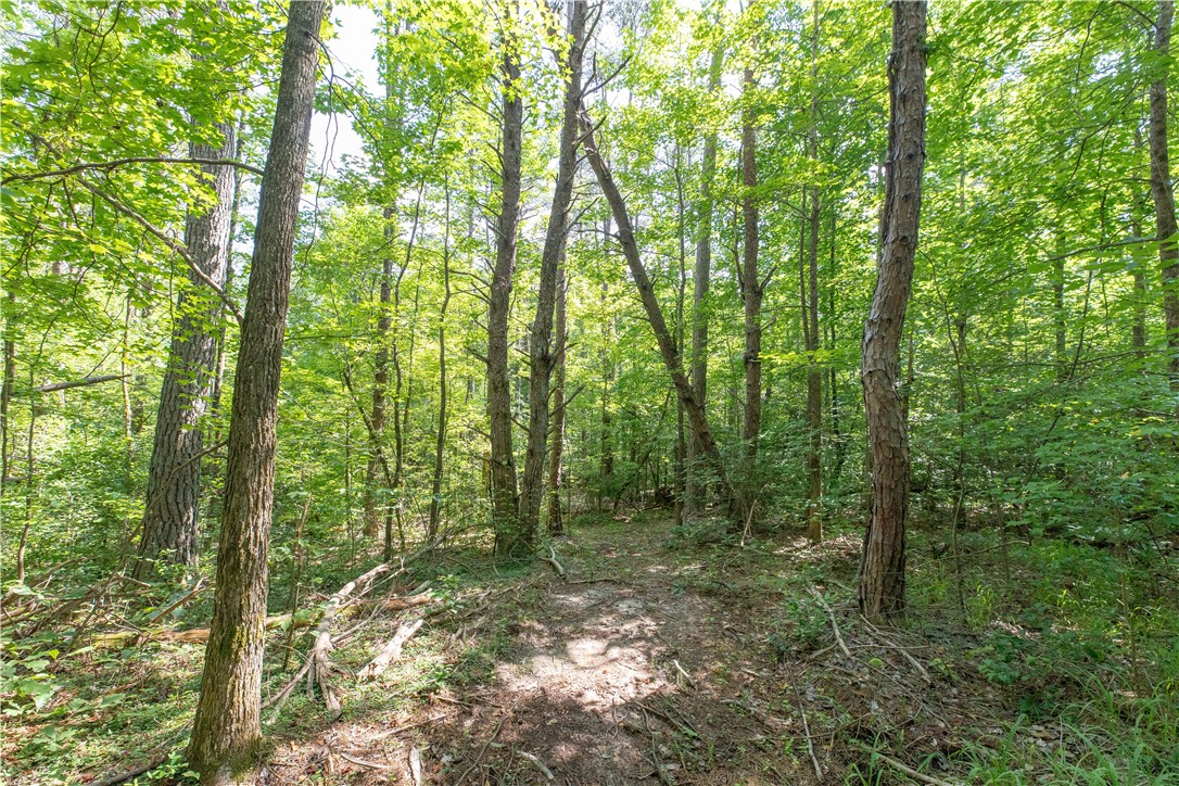A Chalmers Mountain Road Walhalla, SC 29691 - Photo 7 of 35 Gallery Image 7