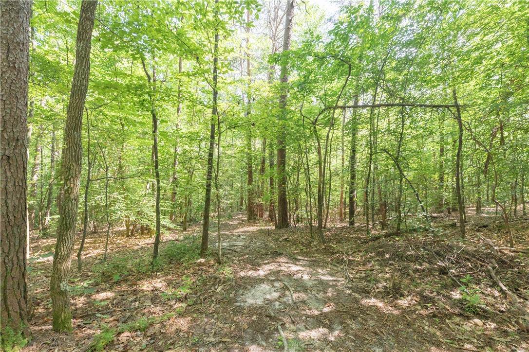A Chalmers Mountain Road Walhalla, SC 29691 - Photo 8 of 35 Gallery Image 8