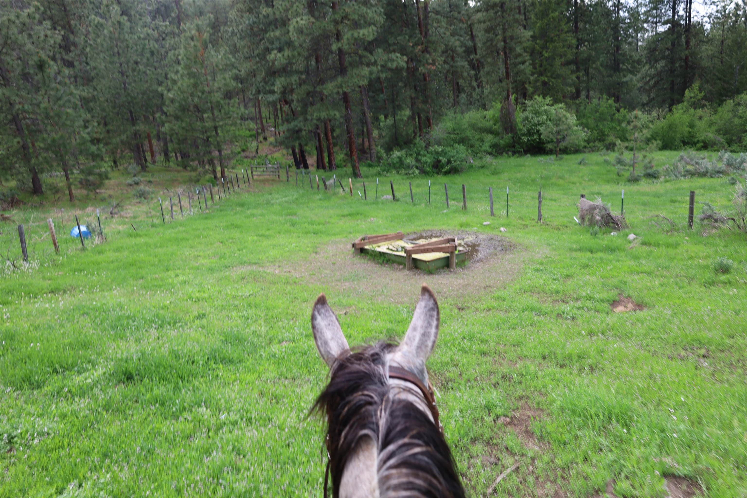 734 Tunk Creek Road Riverside, WA 98849 - Photo 21 of 43