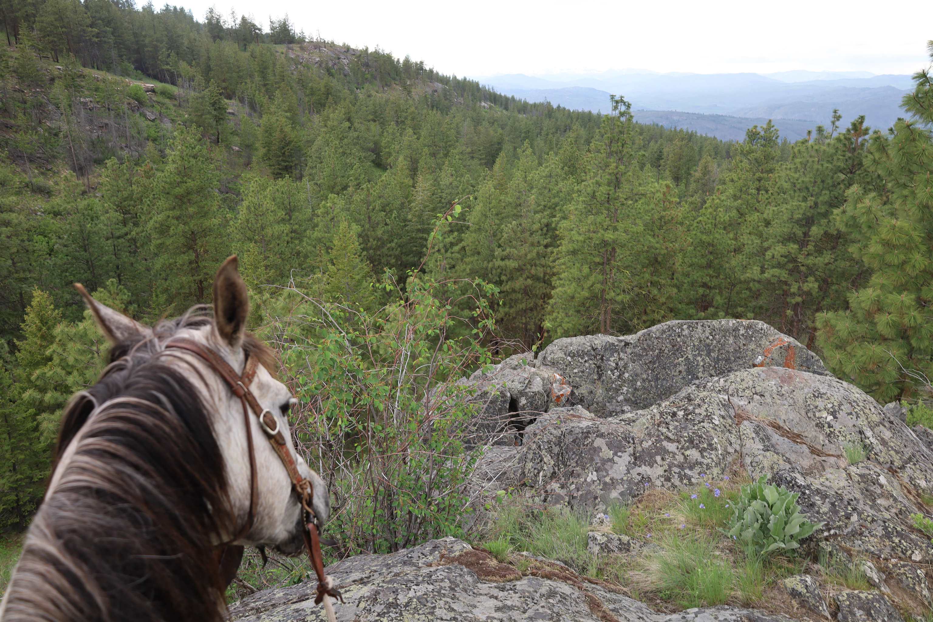 734 Tunk Creek Road Riverside, WA 98849 - Photo 23 of 43
