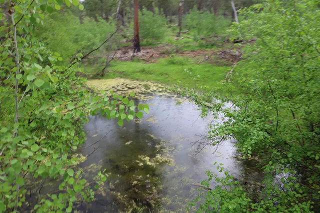 $1,380,000 | 734 Tunk Creek Road, Riverside, WA 98849