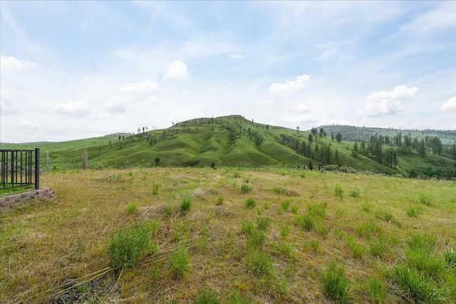 $1,380,000 | 734 Tunk Creek Road, Riverside, WA 98849