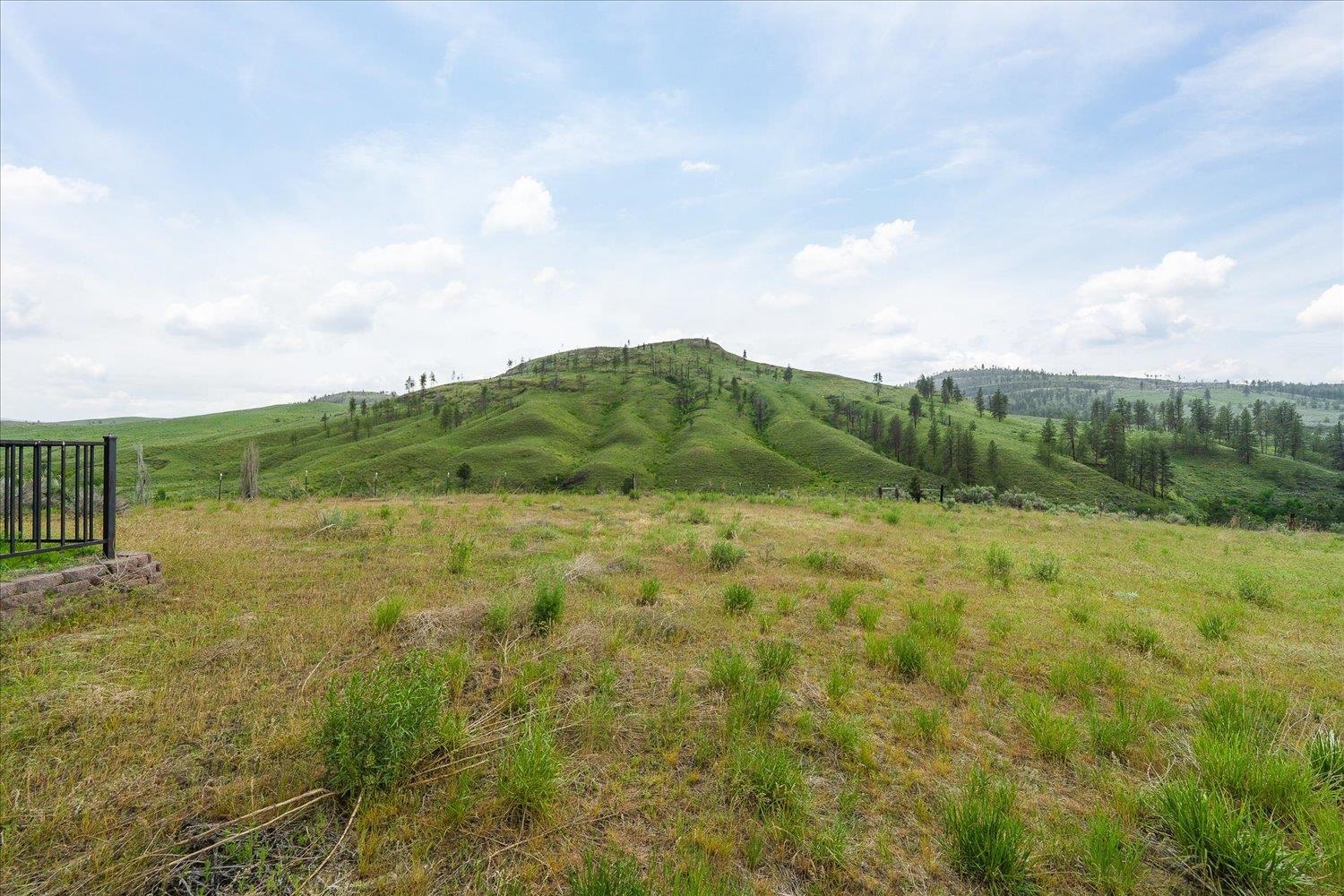 734 Tunk Creek Road Riverside, WA 98849 - Photo 27 of 43