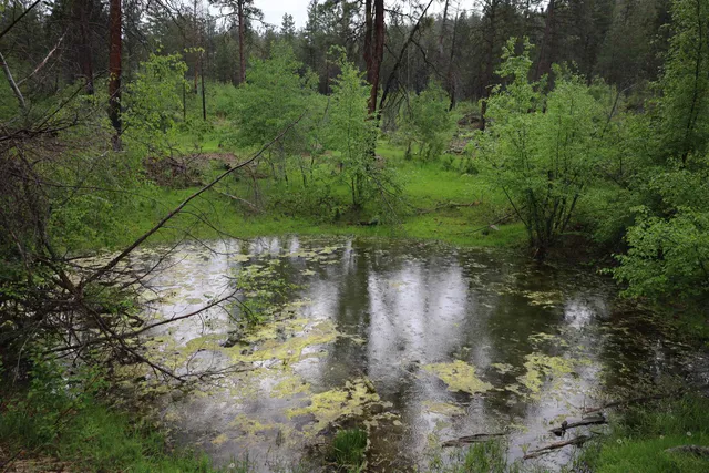 $1,380,000 | 734 Tunk Creek Road, Riverside, WA 98849