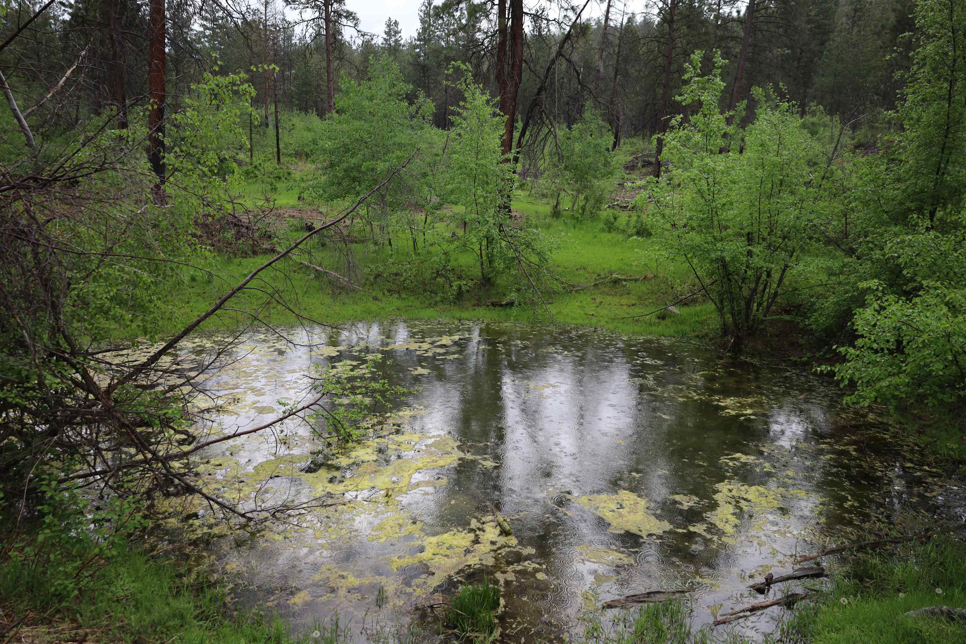 734 Tunk Creek Road Riverside, WA 98849 - Photo 34 of 43