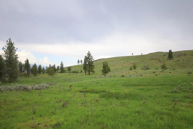 $1,380,000 | 734 Tunk Creek Road, Riverside, WA 98849