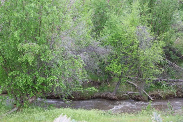 $1,380,000 | 734 Tunk Creek Road, Riverside, WA 98849