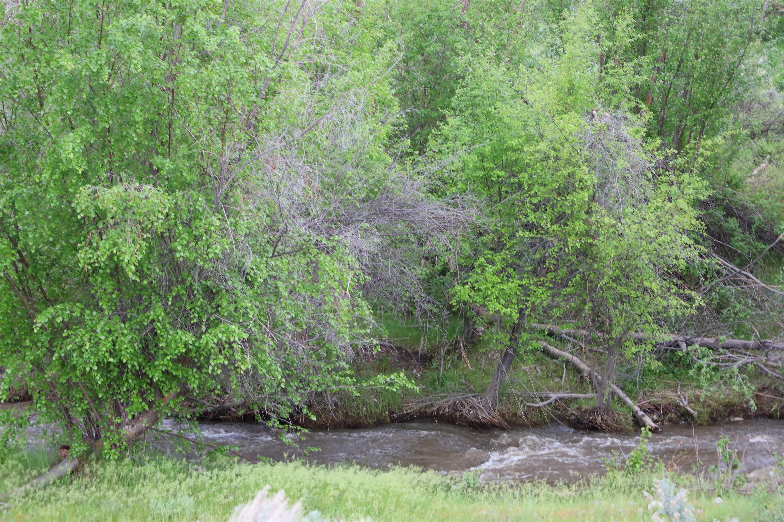 734 Tunk Creek Road Riverside, WA 98849 - Photo 6 of 43