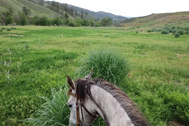 $1,380,000 | 734 Tunk Creek Road, Riverside, WA 98849