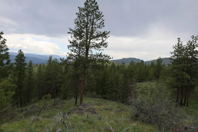 $1,380,000 | 734 Tunk Creek Road, Riverside, WA 98849