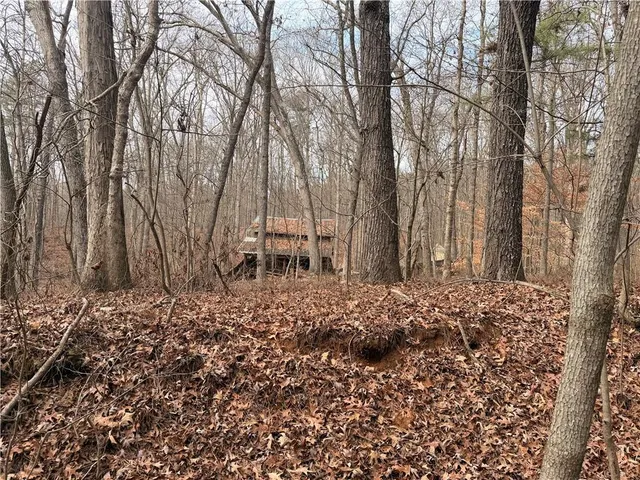 a view of a backyard of the house