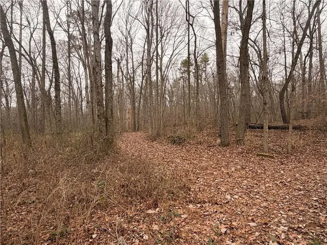 a view of backyard with green space