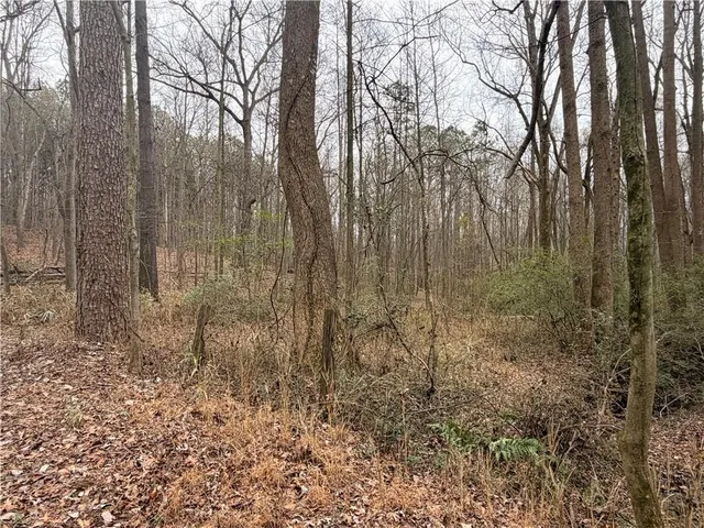 a view of a yard with trees