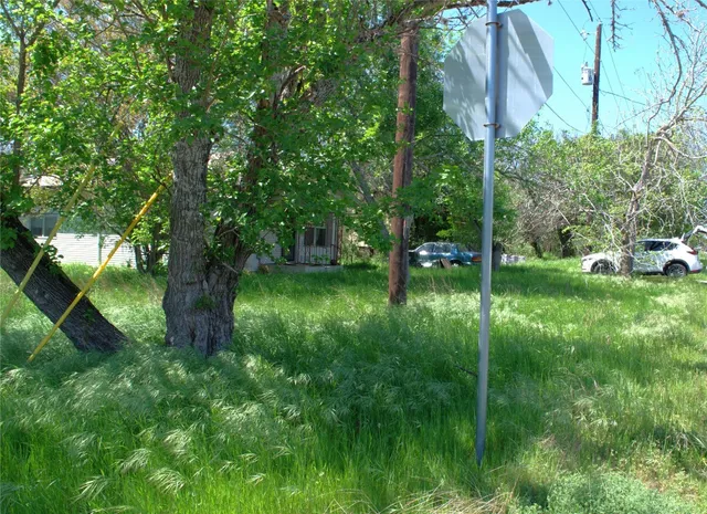 a backyard of a house with lots of green space and trees