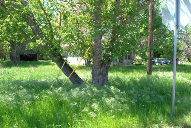 a big yard with lots of green space and trees