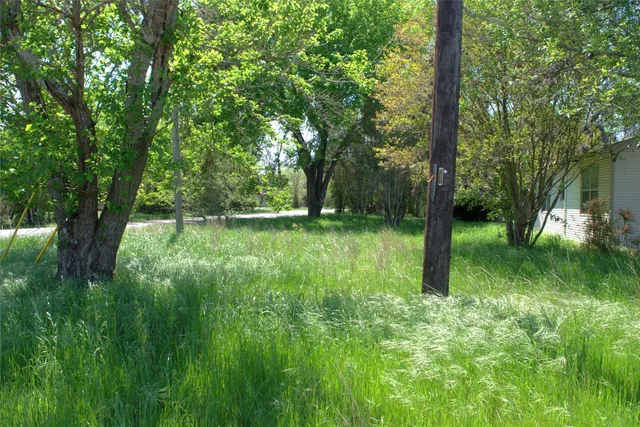 a view of backyard with green space