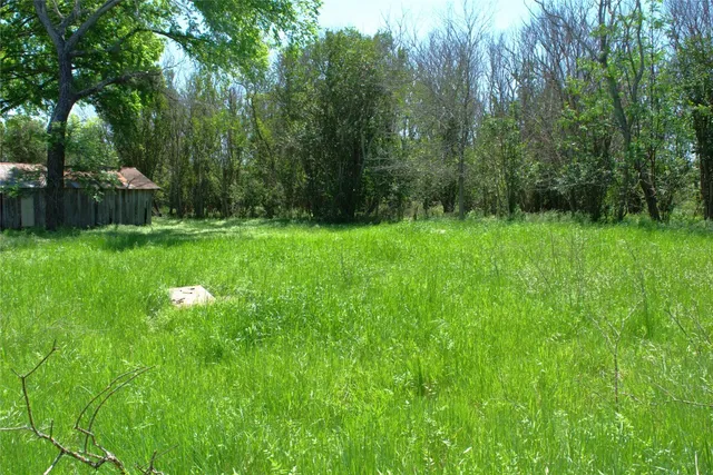a view of backyard with green space