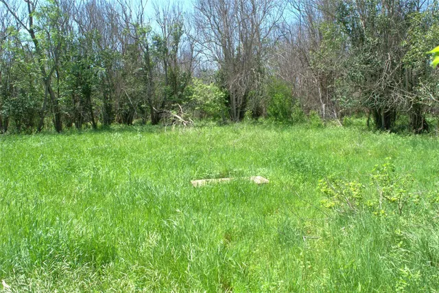a view of a grassy field with trees in the background