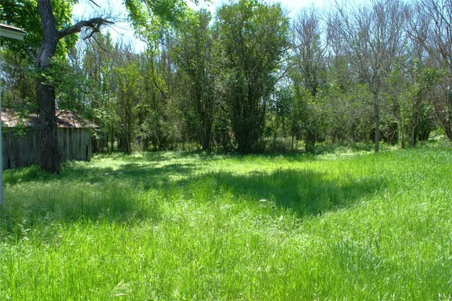 a view of a lush green space