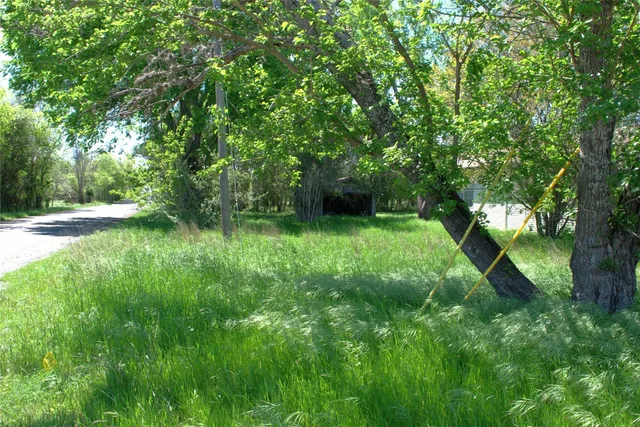 a backyard of a house with plants and large trees