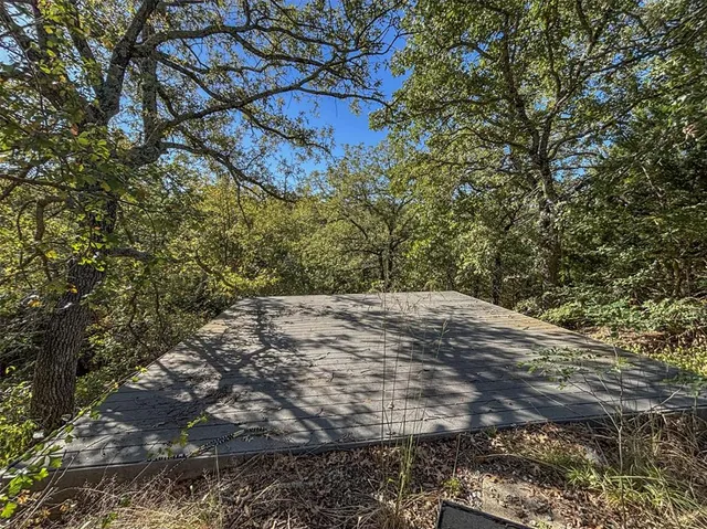 a view of a yard with a tree