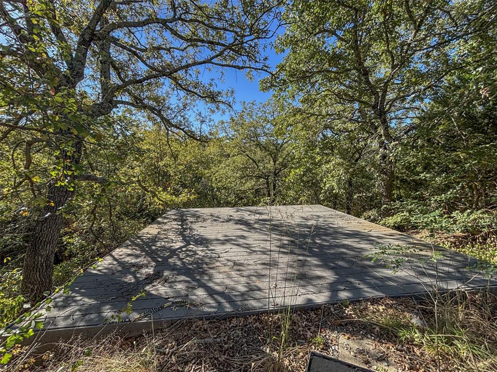 2301 Moseley Road Cross Roads, TX 76227 - Photo 11 of 14 a view of a yard with a tree