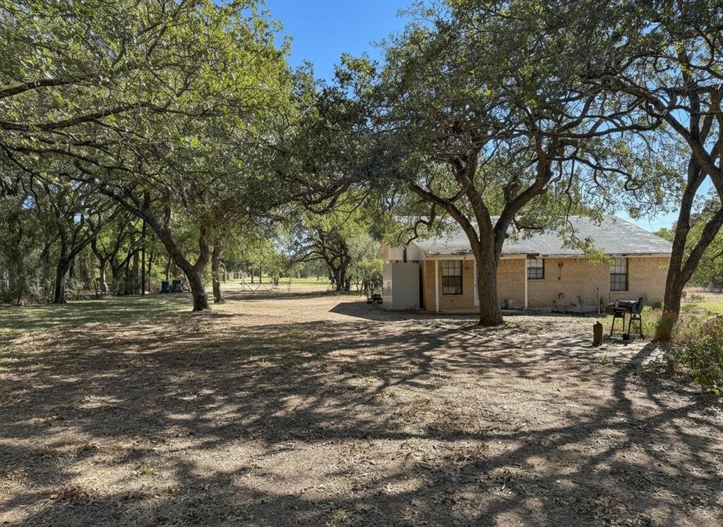 2301 Moseley Road Cross Roads, TX 76227 - Photo 9 of 14 a large tree in middle of the garden