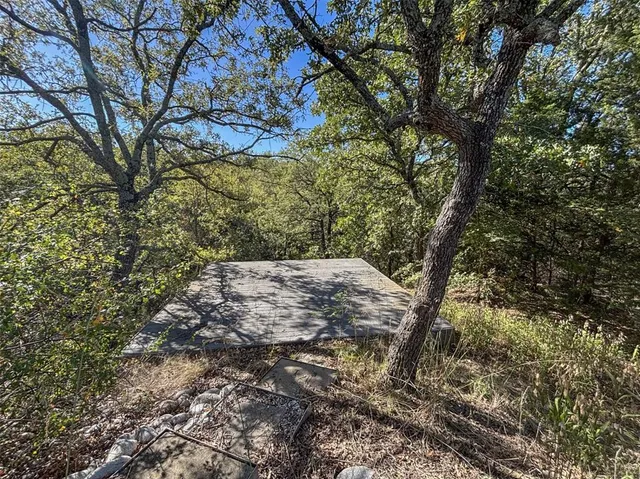 a view of a yard with a tree