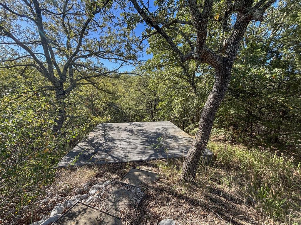2301 Moseley Road Cross Roads, TX 76227 - Photo 10 of 14 a view of a yard with a tree