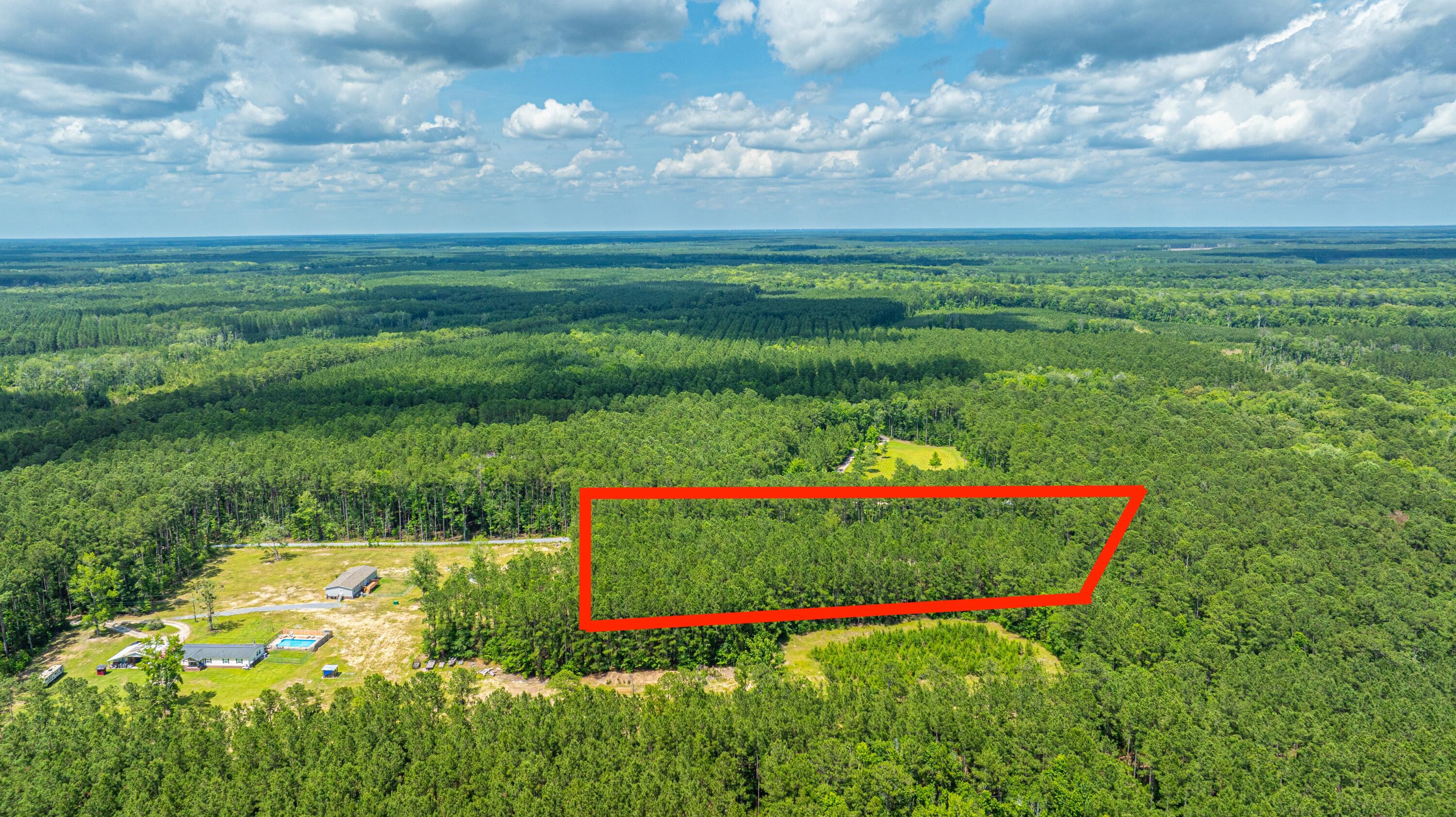 6774 Spring Grove Road Adams Run, SC 29426 - Photo 12 of 15 5 Acres