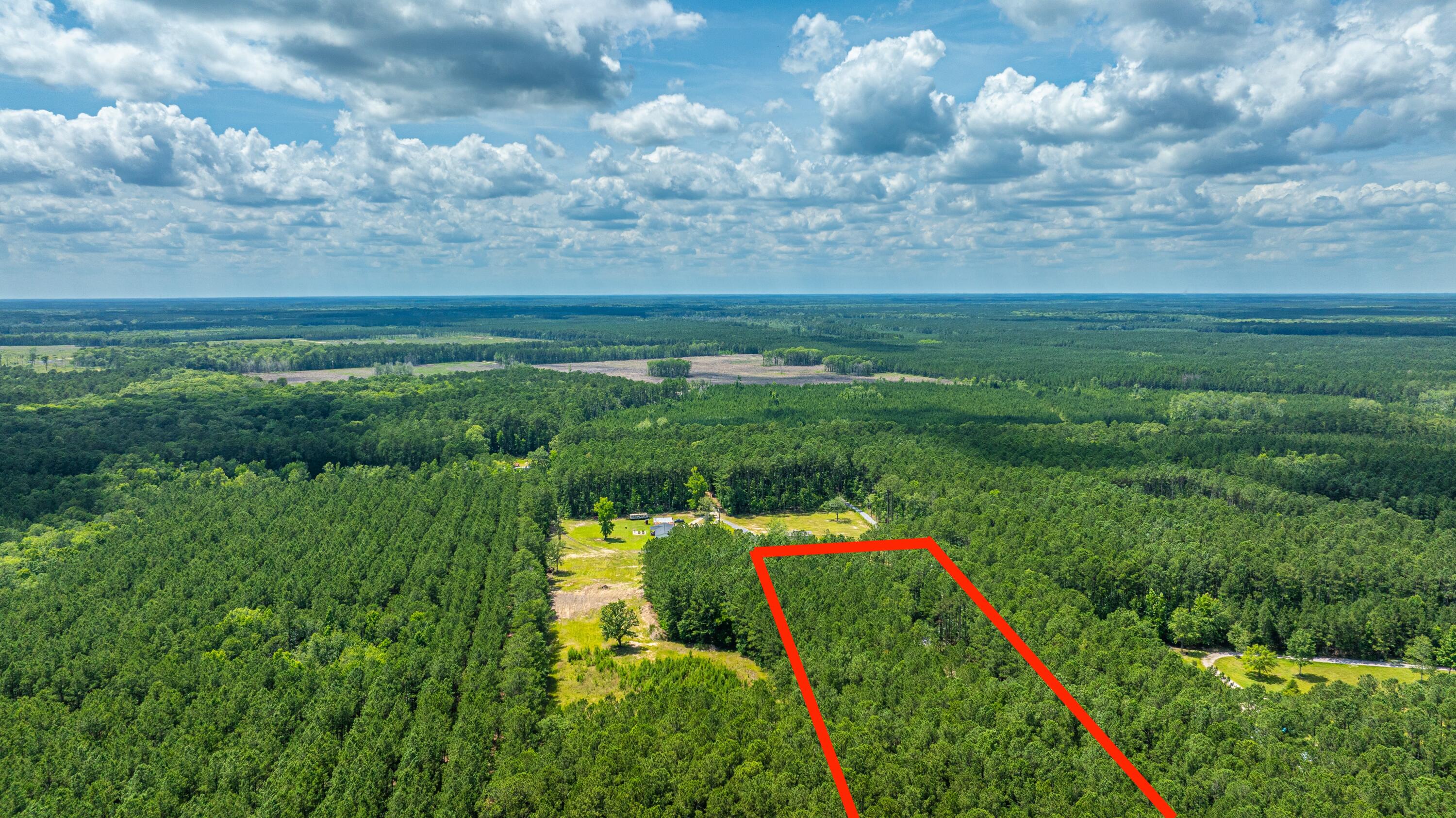 6774 Spring Grove Road Adams Run, SC 29426 - Photo 13 of 15 6774SpringGroveRd017