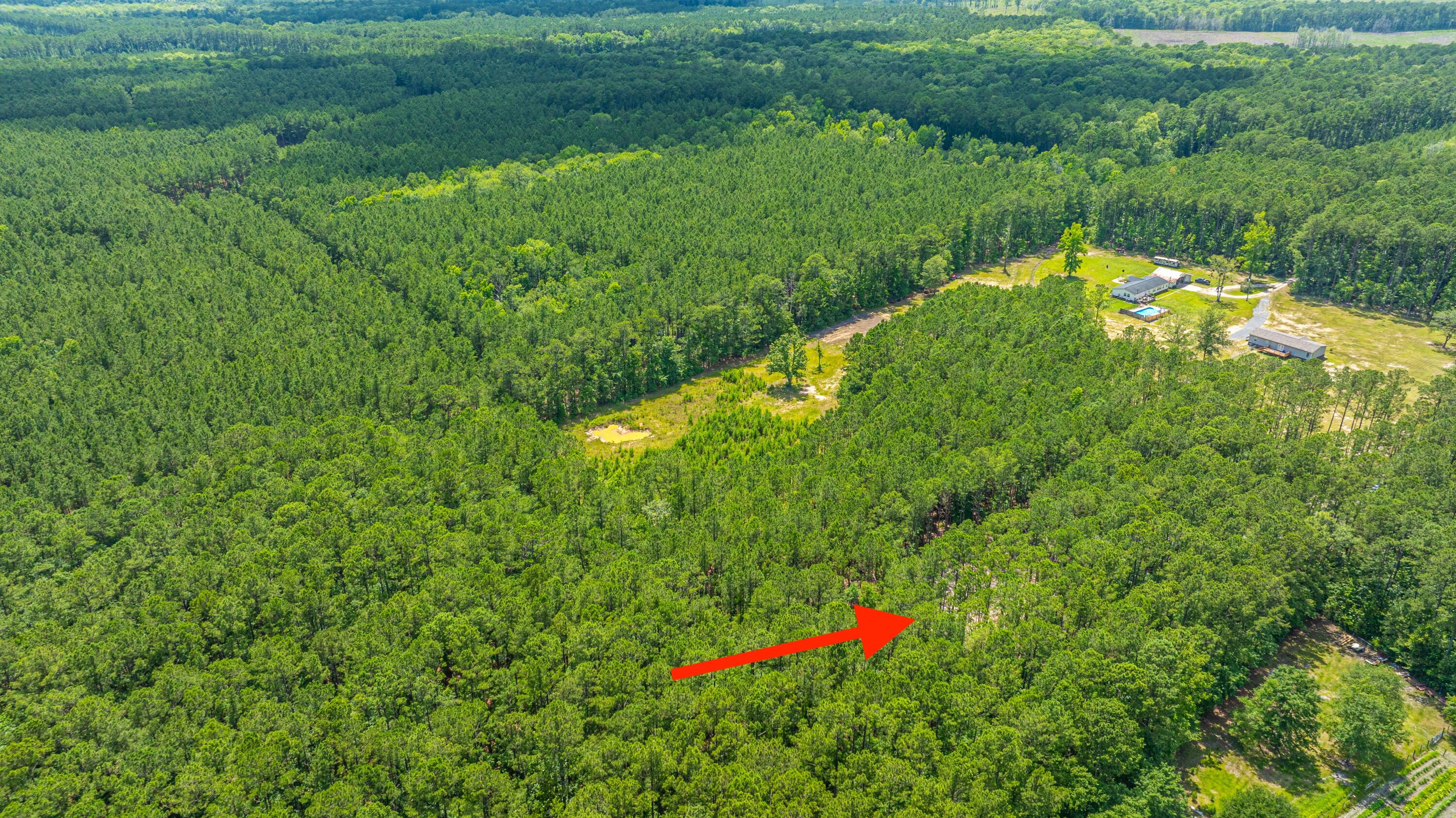 6774 Spring Grove Road Adams Run, SC 29426 - Photo 14 of 15 5 acres