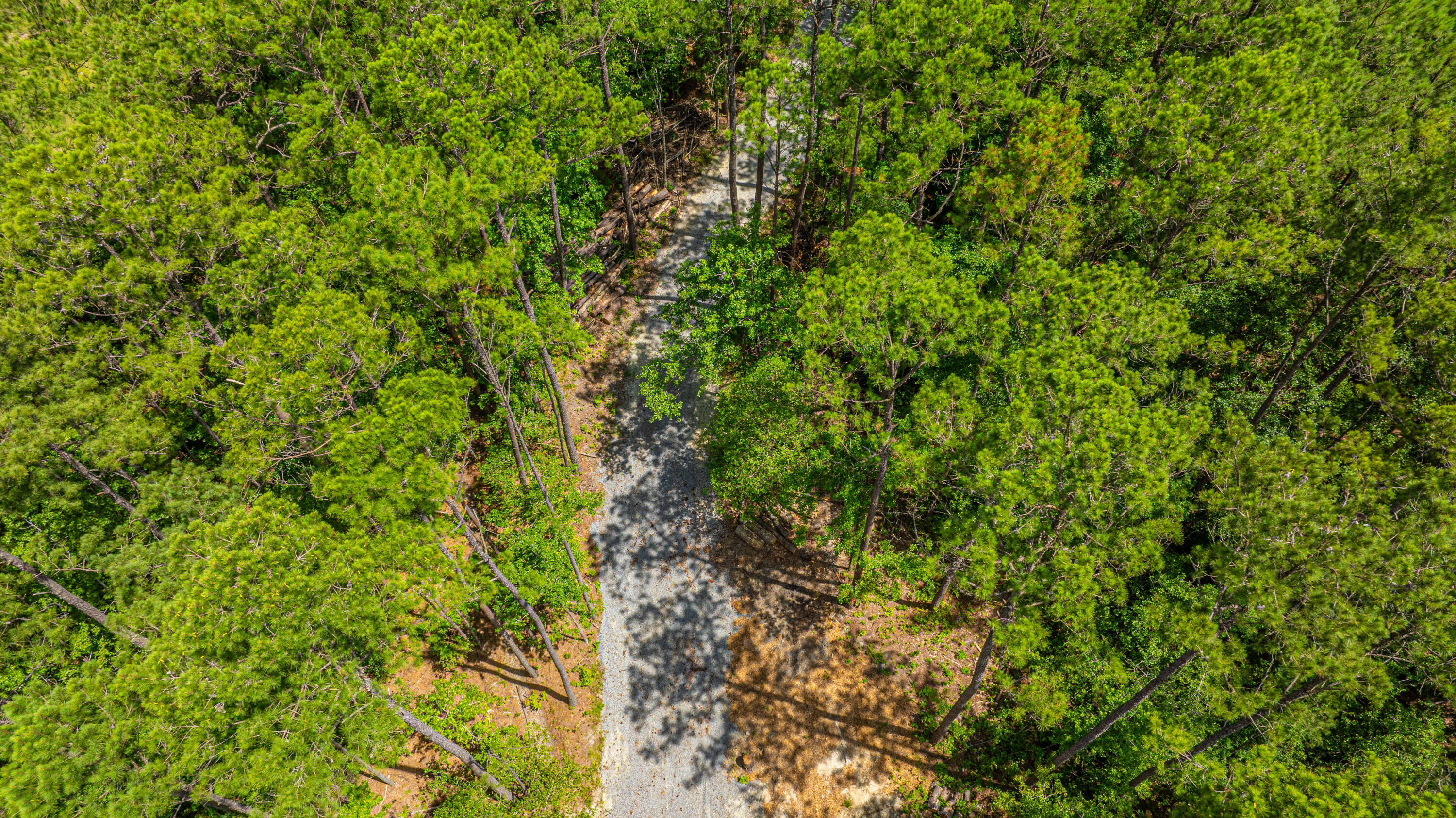 6774 Spring Grove Road Adams Run, SC 29426 - Photo 2 of 15 Gravel Road to Property