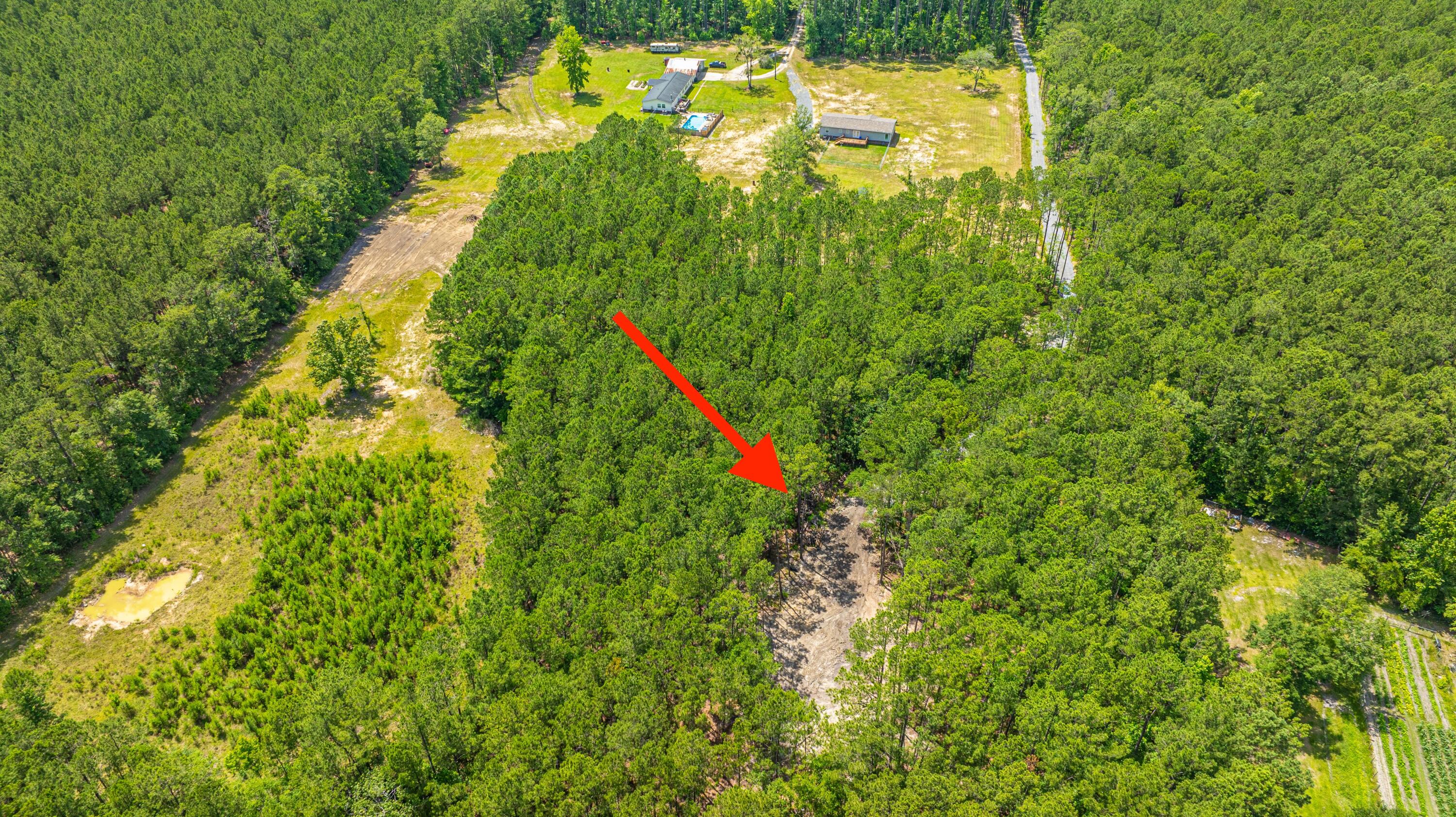 6774 Spring Grove Road Adams Run, SC 29426 - Photo 8 of 15 Cleared Area for Homesite