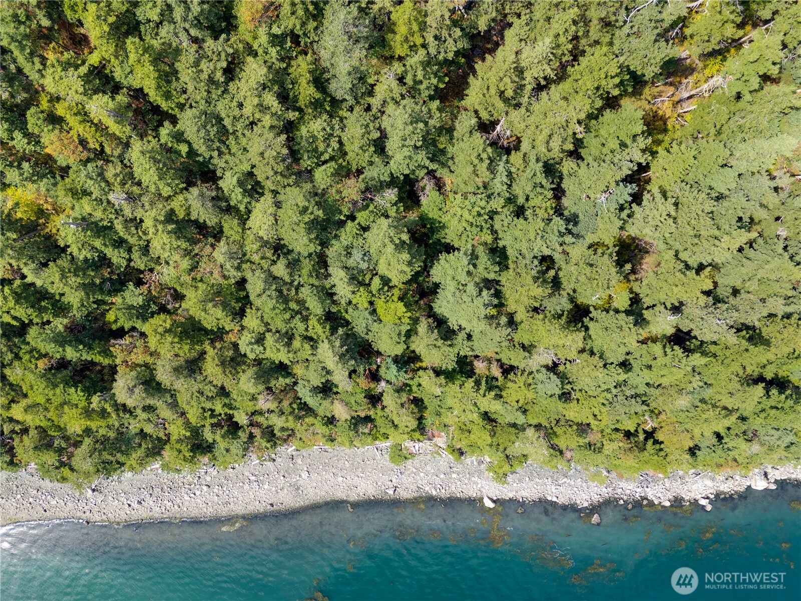 7121 Island View Drive Anacortes, WA 98221 - Photo 12 of 12 a view of a yard