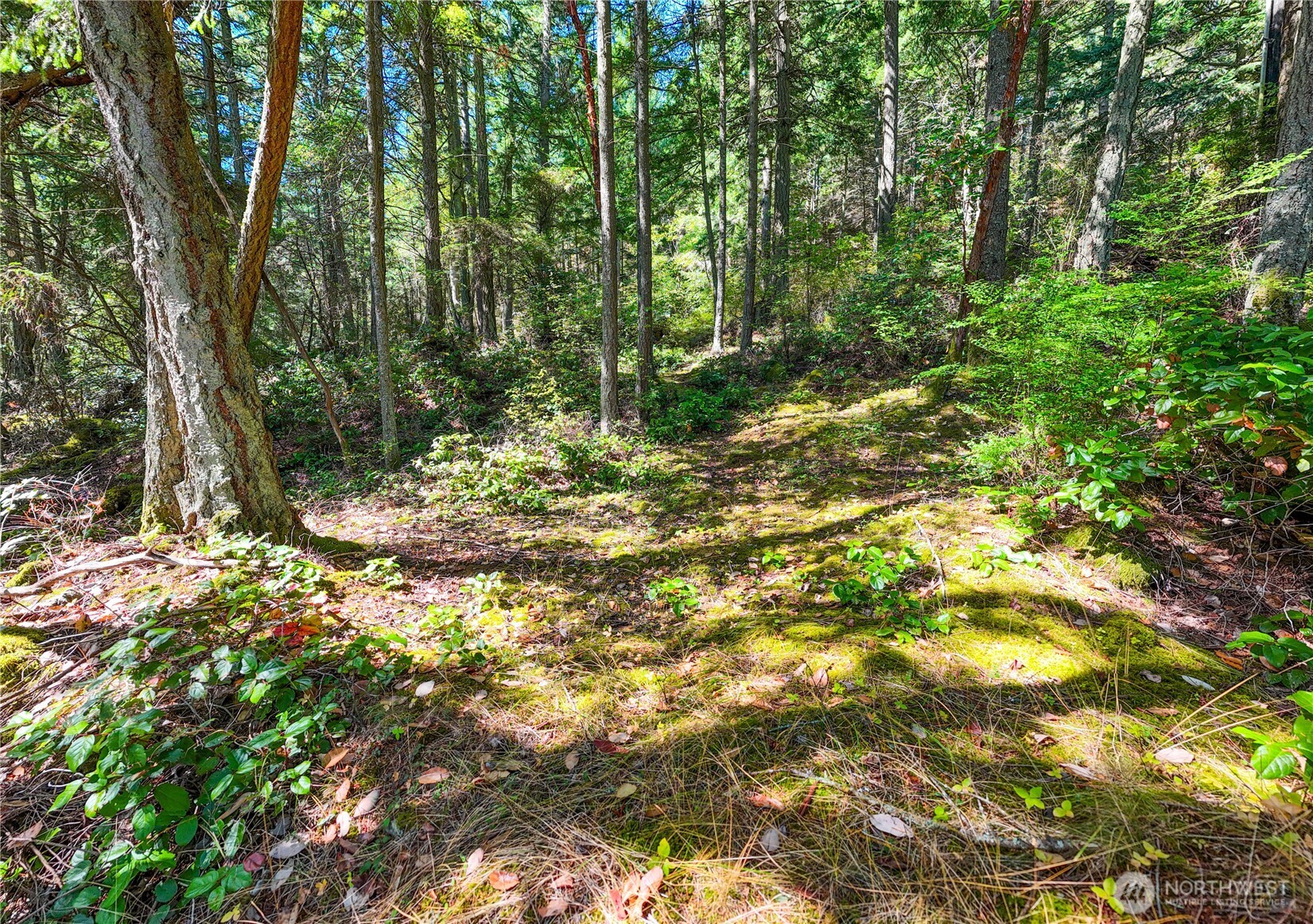 7121 Island View Drive Anacortes, WA 98221 - Photo 5 of 12 a view of outdoor space and yard