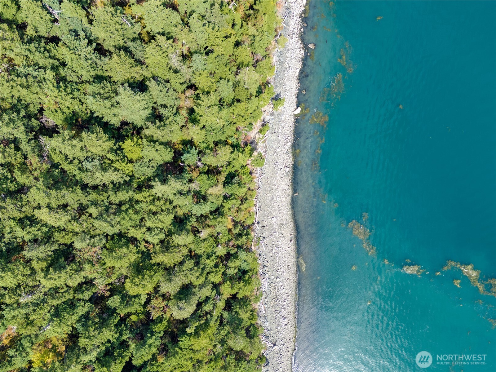 7121 Island View Drive Anacortes, WA 98221 - Photo 10 of 12 a view of a garden